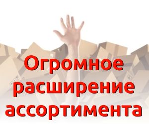 Огромное расширение ассортимента обуви в магазинах KingShoe