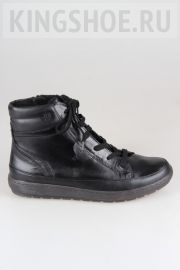   Jana  25203-001