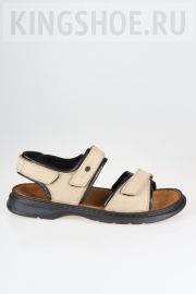   Josef Seibel  10104-11121
