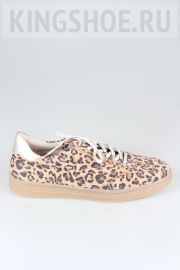 ������� ������� ��������� Rieker ����:1