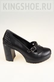   Tais  501-N